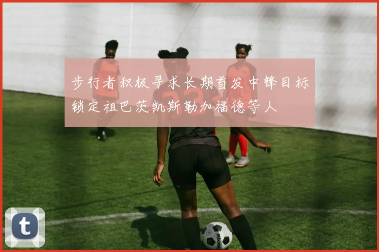 步行者积极寻求长期首发中锋目标锁定祖巴茨凯斯勒加福德等人
