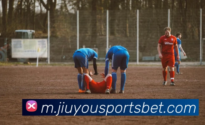 九游体育APP 封面图